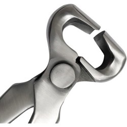 Half Round Nipper